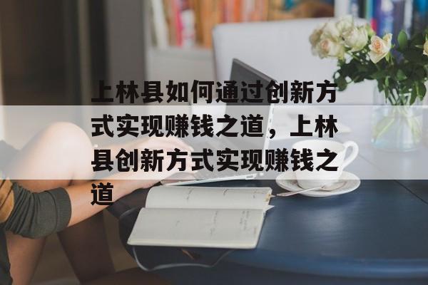 上林县如何通过创新方式实现赚钱之道,上林县创新方式实现赚钱之道 上林县如何通过创新方式实现赚钱之道,上林县创新方式实现赚钱之道