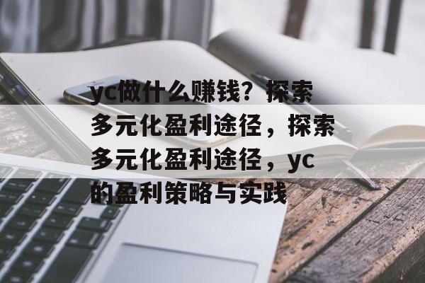 yc做什么赚钱?探索多元化盈利途径,探索多元化盈利途径,yc的盈利策略与实践 yc做什么赚钱?探索多元化盈利途径,探索多元化盈利途径,yc的盈利策略与实践