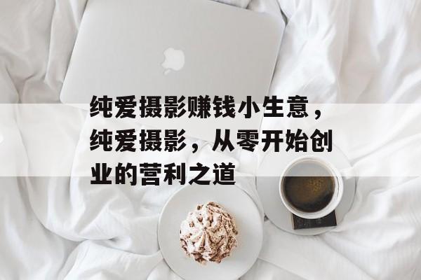 纯爱摄影赚钱小生意,纯爱摄影,从零开始创业的营利之道 纯爱摄影赚钱小生意,纯爱摄影,从零开始创业的营利之道