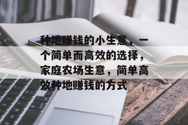 种地赚钱的小生意,一个简单而高效的选择,家庭农场生意,简单高效种地赚钱的方式 种地赚钱的小生意,一个简单而高效的选择,家庭农场生意,简单高效种地赚钱的方式