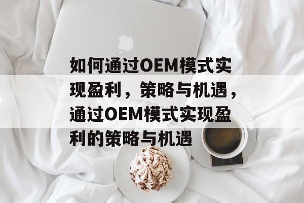 如何通过OEM模式实现盈利,策略与机遇,通过OEM模式实现盈利的策略与机遇 如何通过OEM模式实现盈利,策略与机遇,通过OEM模式实现盈利的策略与机遇