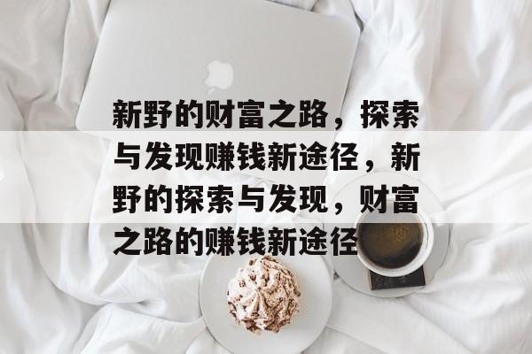 新野的财富之路，探索与发现赚钱新途径，新野的探索与发现，财富之路的赚钱新途径