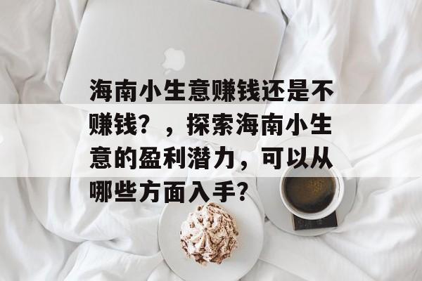 海南小生意赚钱还是不赚钱？，探索海南小生意的盈利潜力，可以从哪些方面入手？