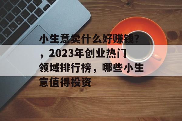 小生意卖什么好赚钱?,2023年创业热门领域排行榜,哪些小生意值得投资 小生意卖什么好赚钱?,2023年创业热门领域排行榜,哪些小生意值得投资