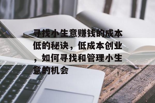 寻找小生意赚钱的成本低的秘诀,低成本创业,如何寻找和管理小生意的机会 寻找小生意赚钱的成本低的秘诀,低成本创业,如何寻找和管理小生意的机会