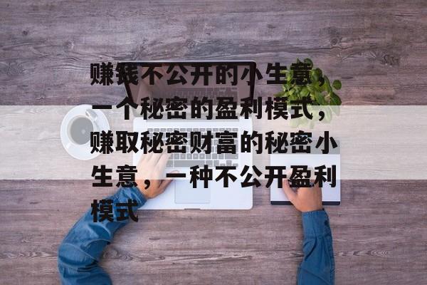 赚钱不公开的小生意,一个秘密的盈利模式,赚取秘密财富的秘密小生意,一种不公开盈利模式 赚钱不公开的小生意,一个秘密的盈利模式,赚取秘密财富的秘密小生意,一种不公开盈利模式