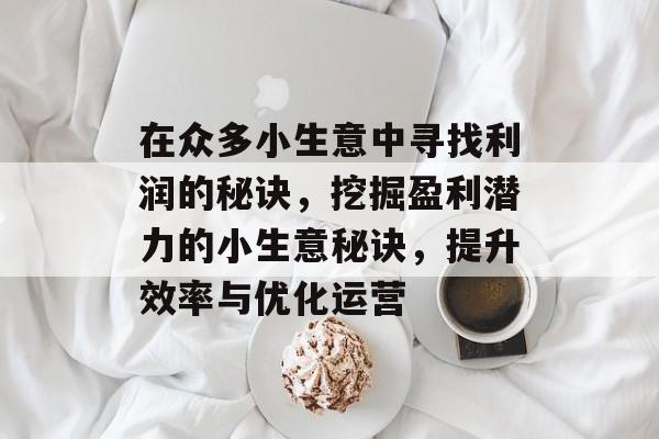 在众多小生意中寻找利润的秘诀,挖掘盈利潜力的小生意秘诀,提升效率与优化运营 在众多小生意中寻找利润的秘诀,挖掘盈利潜力的小生意秘诀,提升效率与优化运营