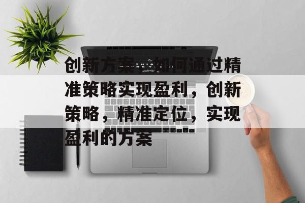 创新方案,如何通过精准策略实现盈利,创新策略,精准定位,实现盈利的方案 创新方案,如何通过精准策略实现盈利,创新策略,精准定位,实现盈利的方案