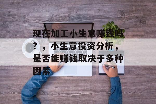 现在加工小生意赚钱吗?,小生意投资分析,是否能赚钱取决于多种因素 现在加工小生意赚钱吗?,小生意投资分析,是否能赚钱取决于多种因素