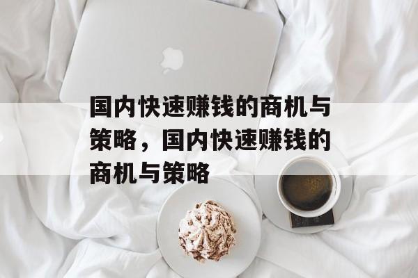 国内快速赚钱的商机与策略,国内快速赚钱的商机与策略 国内快速赚钱的商机与策略,国内快速赚钱的商机与策略