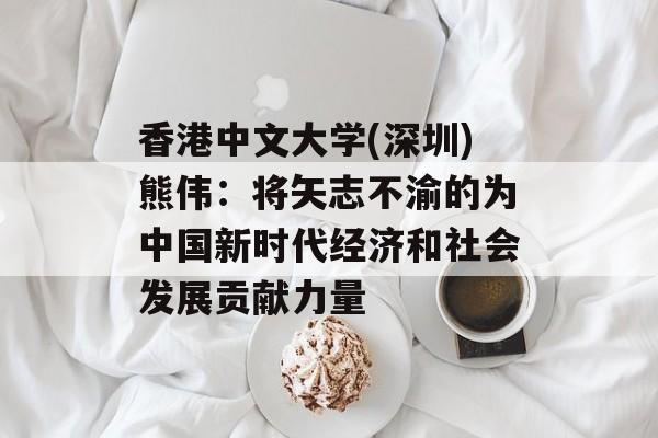 香港中文大学(深圳)熊伟:将矢志不渝的为中国新时代经济和社会发展贡献力量 香港中文大学(深圳)熊伟:将矢志不渝的为中国新时代经济和社会发展贡献力量