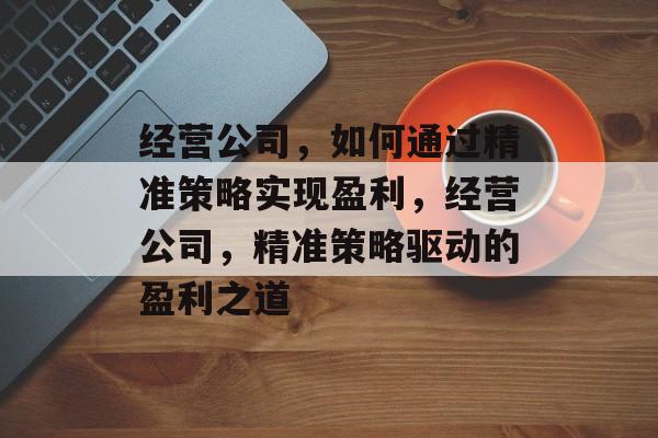 经营公司，如何通过精准策略实现盈利，经营公司，精准策略驱动的盈利之道