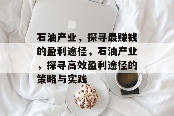 石油产业，探寻最赚钱的盈利途径，石油产业，探寻高效盈利途径的策略与实践