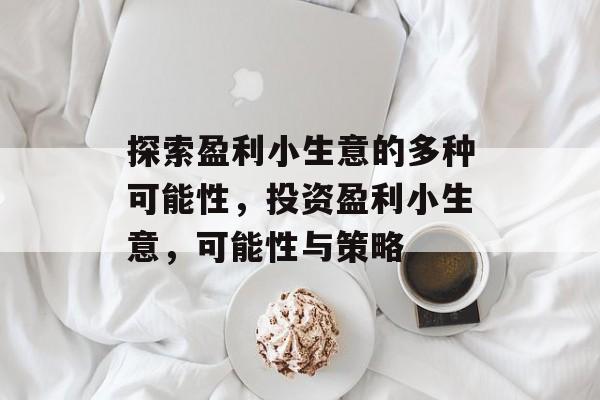探索盈利小生意的多种可能性,投资盈利小生意,可能性与策略 探索盈利小生意的多种可能性,投资盈利小生意,可能性与策略