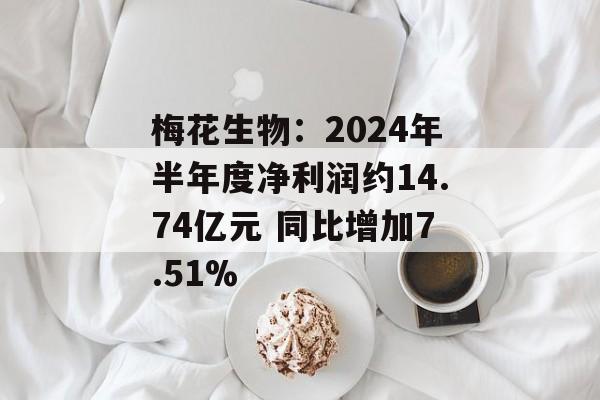 梅花生物:2024年半年度净利润约14.74亿元 同比增加7.51% 梅花生物:2024年半年度净利润约14.74亿元 同比增加7.51%