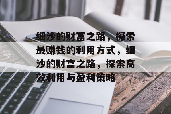 细沙的财富之路，探索最赚钱的利用方式，细沙的财富之路，探索高效利用与盈利策略