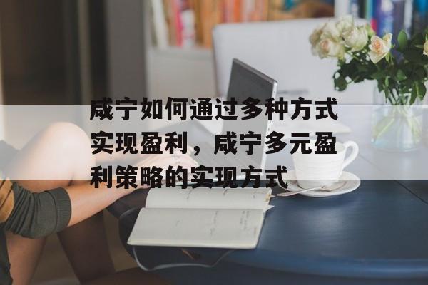 咸宁如何通过多种方式实现盈利，咸宁多元盈利策略的实现方式