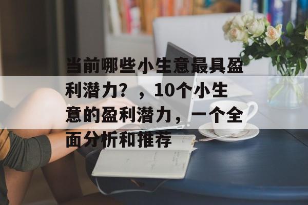 当前哪些小生意最具盈利潜力？，10个小生意的盈利潜力，一个全面分析和推荐