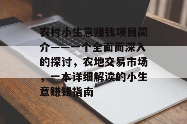 农村小生意赚钱项目简介——一个全面而深入的探讨,农地交易市场,一本详细解读的小生意赚钱指南 农村小生意赚钱项目简介——一个全面而深入的探讨,农地交易市场,一本详细解读的小生意赚钱指南