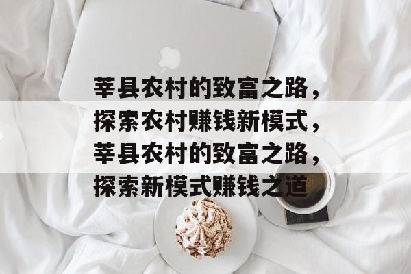 莘县农村的致富之路，探索农村赚钱新模式，莘县农村的致富之路，探索新模式赚钱之道