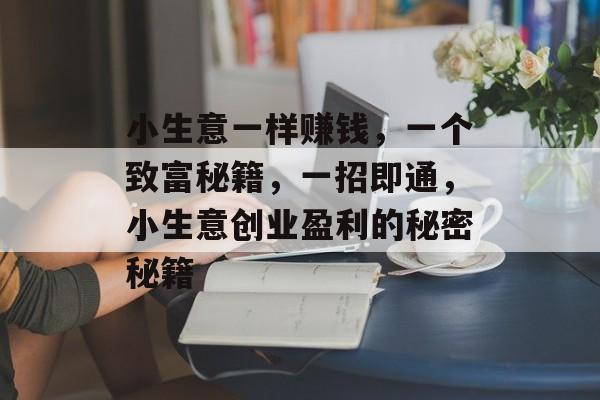 小生意一样赚钱，一个致富秘籍，一招即通，小生意创业盈利的秘密秘籍