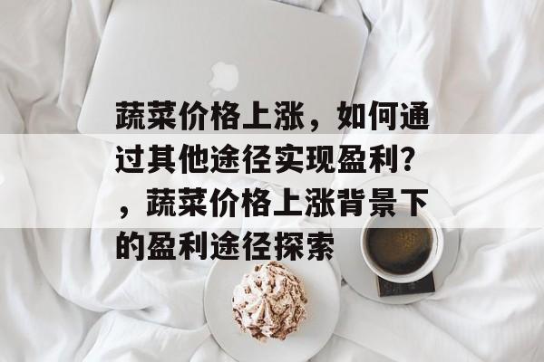 蔬菜价格上涨,如何通过其他途径实现盈利?,蔬菜价格上涨背景下的盈利途径探索 蔬菜价格上涨,如何通过其他途径实现盈利?,蔬菜价格上涨背景下的盈利途径探索