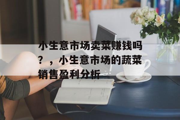 小生意市场卖菜赚钱吗？，小生意市场的蔬菜销售盈利分析