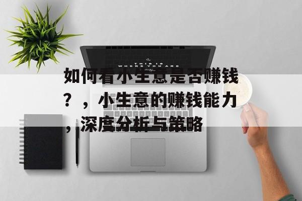 如何看小生意是否赚钱？，小生意的赚钱能力，深度分析与策略