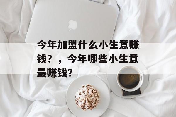 今年加盟什么小生意赚钱？，今年哪些小生意最赚钱？