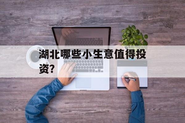 湖北哪些小生意值得投资? 湖北哪些小生意值得投资?