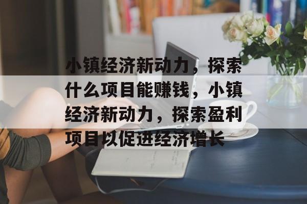 小镇经济新动力,探索什么项目能赚钱,小镇经济新动力,探索盈利项目以促进经济增长 小镇经济新动力,探索什么项目能赚钱,小镇经济新动力,探索盈利项目以促进经济增长