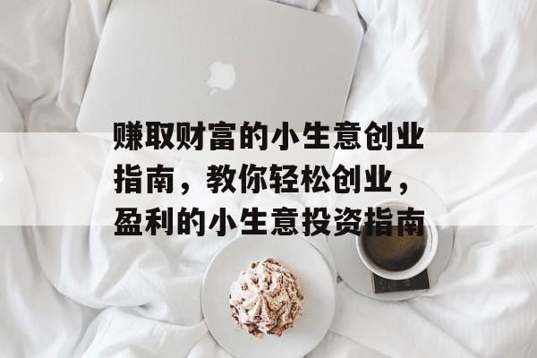 赚取财富的小生意创业指南，教你轻松创业，盈利的小生意投资指南