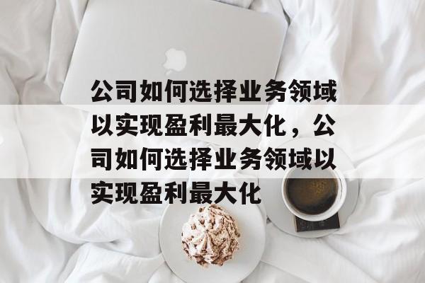 公司如何选择业务领域以实现盈利最大化,公司如何选择业务领域以实现盈利最大化 公司如何选择业务领域以实现盈利最大化,公司如何选择业务领域以实现盈利最大化