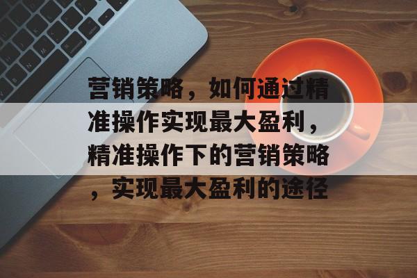 营销策略,如何通过精准操作实现最大盈利,精准操作下的营销策略,实现最大盈利的途径 营销策略,如何通过精准操作实现最大盈利,精准操作下的营销策略,实现最大盈利的途径