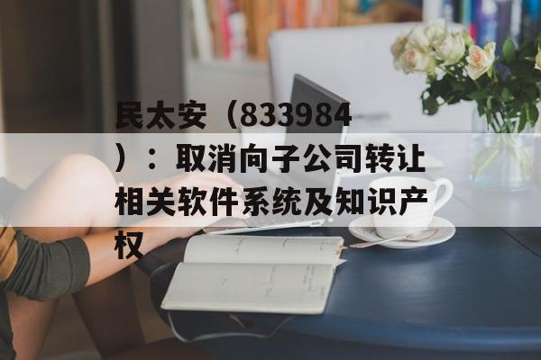 民太安(833984):取消向子公司转让相关软件系统及知识产权 民太安(833984):取消向子公司转让相关软件系统及知识产权