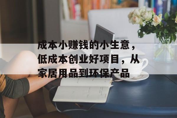 成本小赚钱的小生意,低成本创业好项目,从家居用品到环保产品 成本小赚钱的小生意,低成本创业好项目,从家居用品到环保产品
