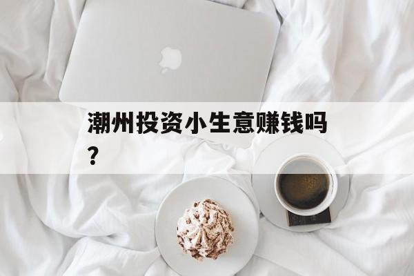 潮州投资小生意赚钱吗？