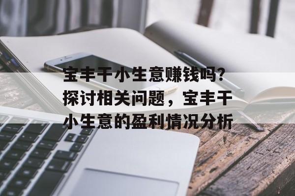 宝丰干小生意赚钱吗?探讨相关问题,宝丰干小生意的盈利情况分析 宝丰干小生意赚钱吗?探讨相关问题,宝丰干小生意的盈利情况分析