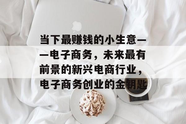 当下最赚钱的小生意——电子商务,未来最有前景的新兴电商行业,电子商务创业的金钥匙 当下最赚钱的小生意——电子商务,未来最有前景的新兴电商行业,电子商务创业的金钥匙