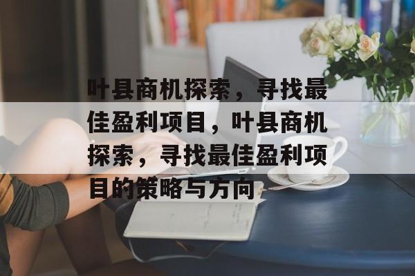 叶县商机探索，寻找最佳盈利项目，叶县商机探索，寻找最佳盈利项目的策略与方向