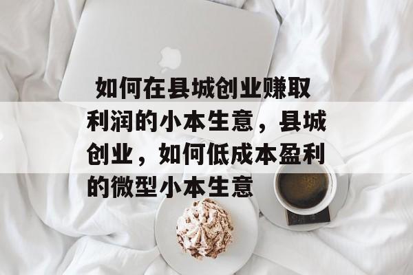 如何在县城创业赚取利润的小本生意,县城创业,如何低成本盈利的微型小本生意  如何在县城创业赚取利润的小本生意,县城创业,如何低成本盈利的微型小本生意