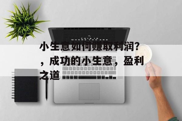 小生意如何赚取利润?,成功的小生意,盈利之道 小生意如何赚取利润?,成功的小生意,盈利之道