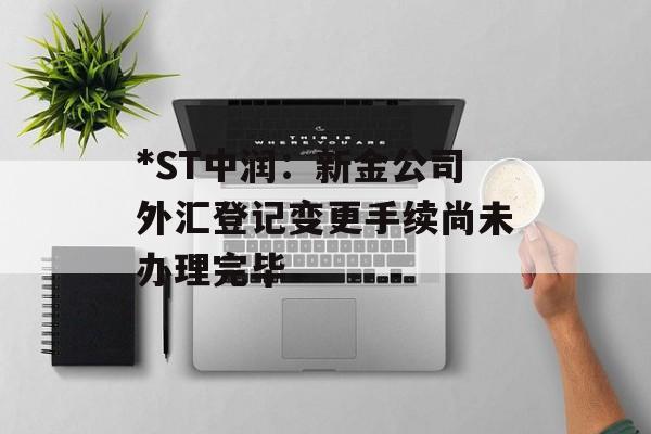 *ST中润:新金公司外汇登记变更手续尚未办理完毕 *ST中润:新金公司外汇登记变更手续尚未办理完毕