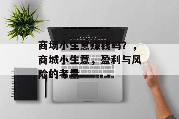 商场小生意赚钱吗?,商城小生意,盈利与风险的考量 商场小生意赚钱吗?,商城小生意,盈利与风险的考量