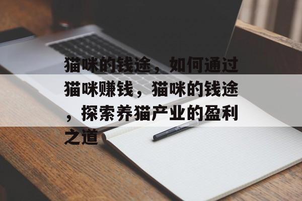 猫咪的钱途,如何通过猫咪赚钱,猫咪的钱途,探索养猫产业的盈利之道 猫咪的钱途,如何通过猫咪赚钱,猫咪的钱途,探索养猫产业的盈利之道