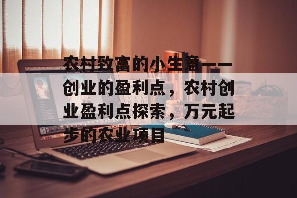 农村致富的小生意——创业的盈利点,农村创业盈利点探索,万元起步的农业项目 农村致富的小生意——创业的盈利点,农村创业盈利点探索,万元起步的农业项目