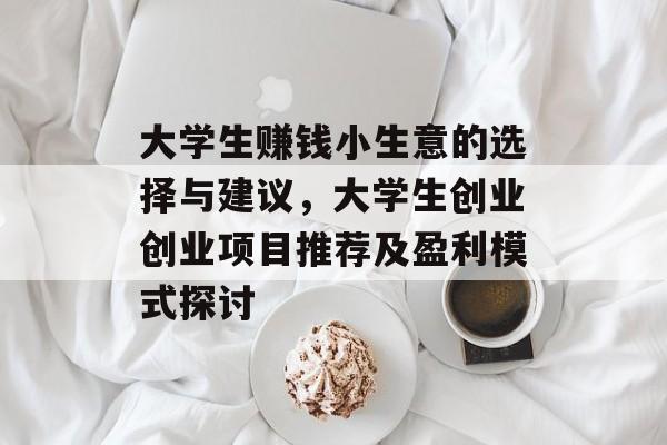 大学生赚钱小生意的选择与建议,大学生创业创业项目推荐及盈利模式探讨 大学生赚钱小生意的选择与建议,大学生创业创业项目推荐及盈利模式探讨