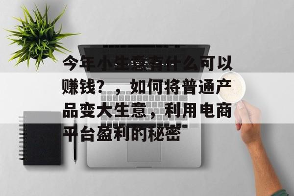 今年小生意有什么可以赚钱？，如何将普通产品变大生意，利用电商平台盈利的秘密