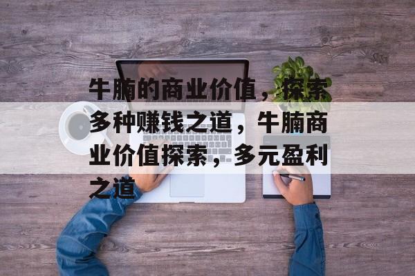 牛腩的商业价值,探索多种赚钱之道,牛腩商业价值探索,多元盈利之道 牛腩的商业价值,探索多种赚钱之道,牛腩商业价值探索,多元盈利之道