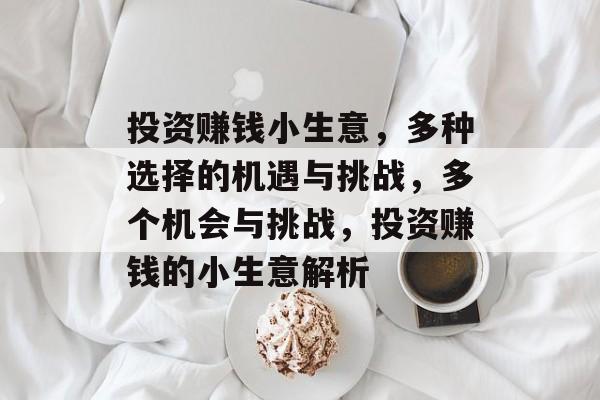 投资赚钱小生意,多种选择的机遇与挑战,多个机会与挑战,投资赚钱的小生意解析 投资赚钱小生意,多种选择的机遇与挑战,多个机会与挑战,投资赚钱的小生意解析